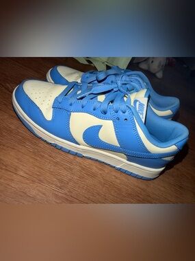 Nike Dunk Sneakers in Blue and White